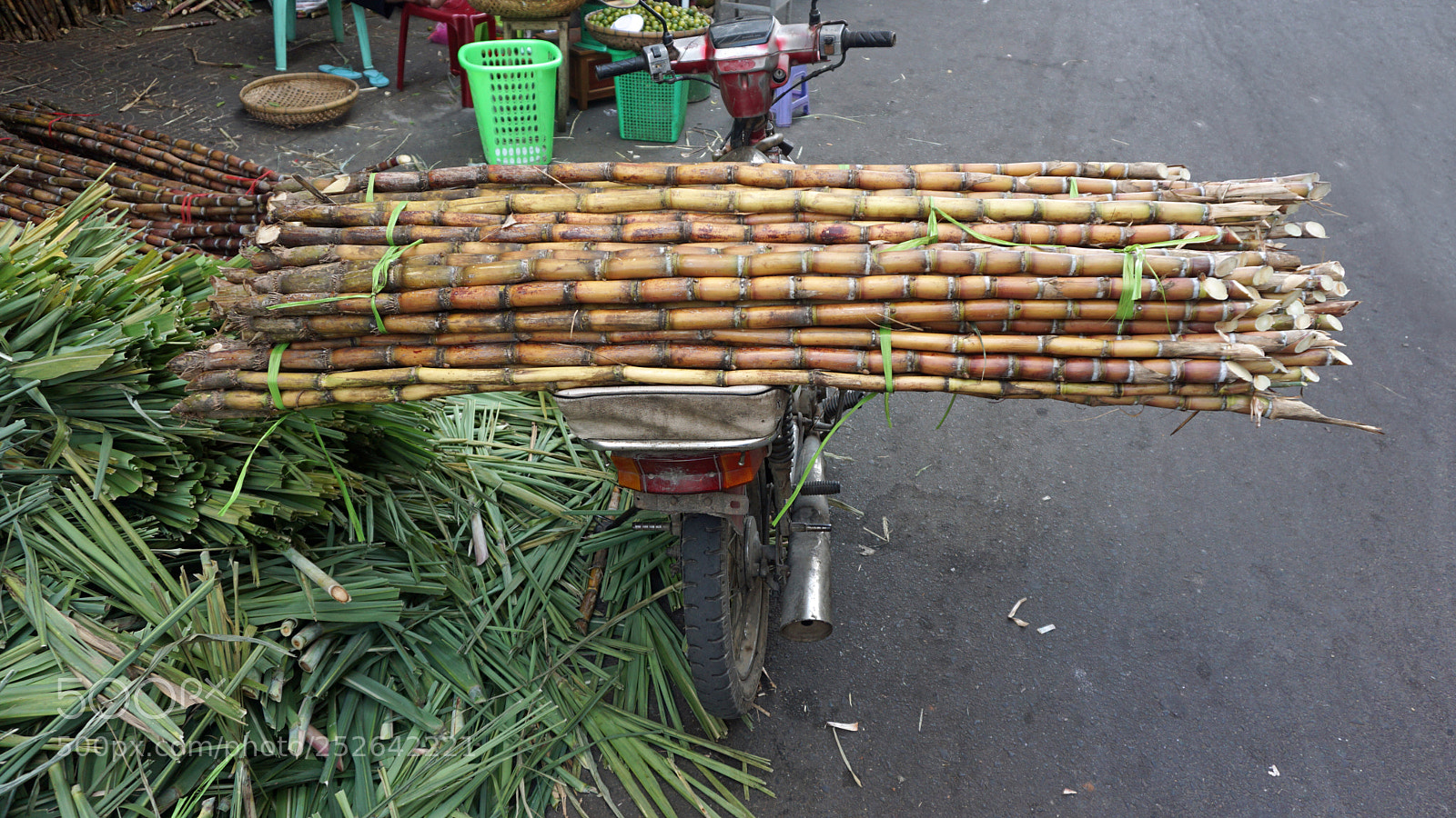 Sony a6000 sample photo. Fresh bamboo sticks photography