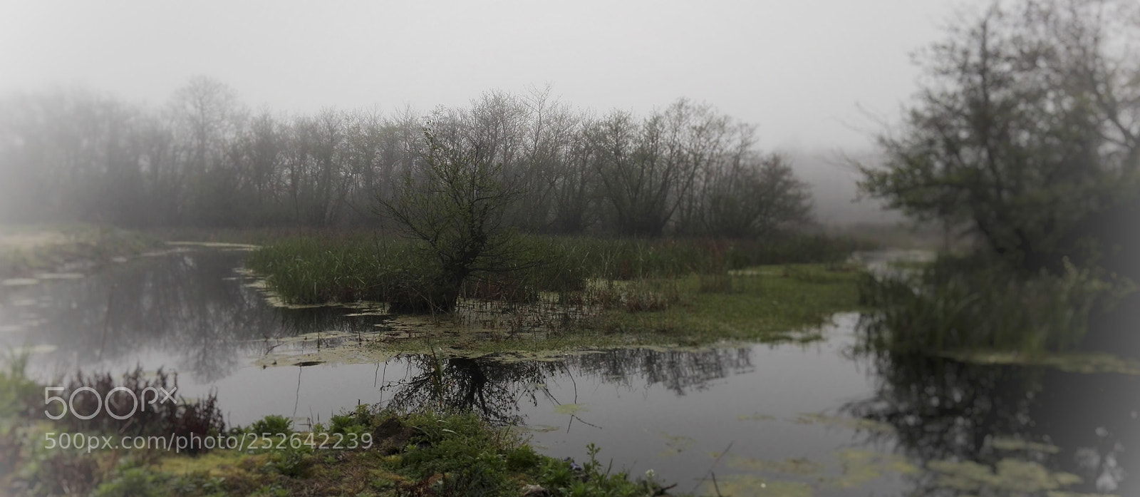HUAWEI P8 Lite sample photo. Untitled photography