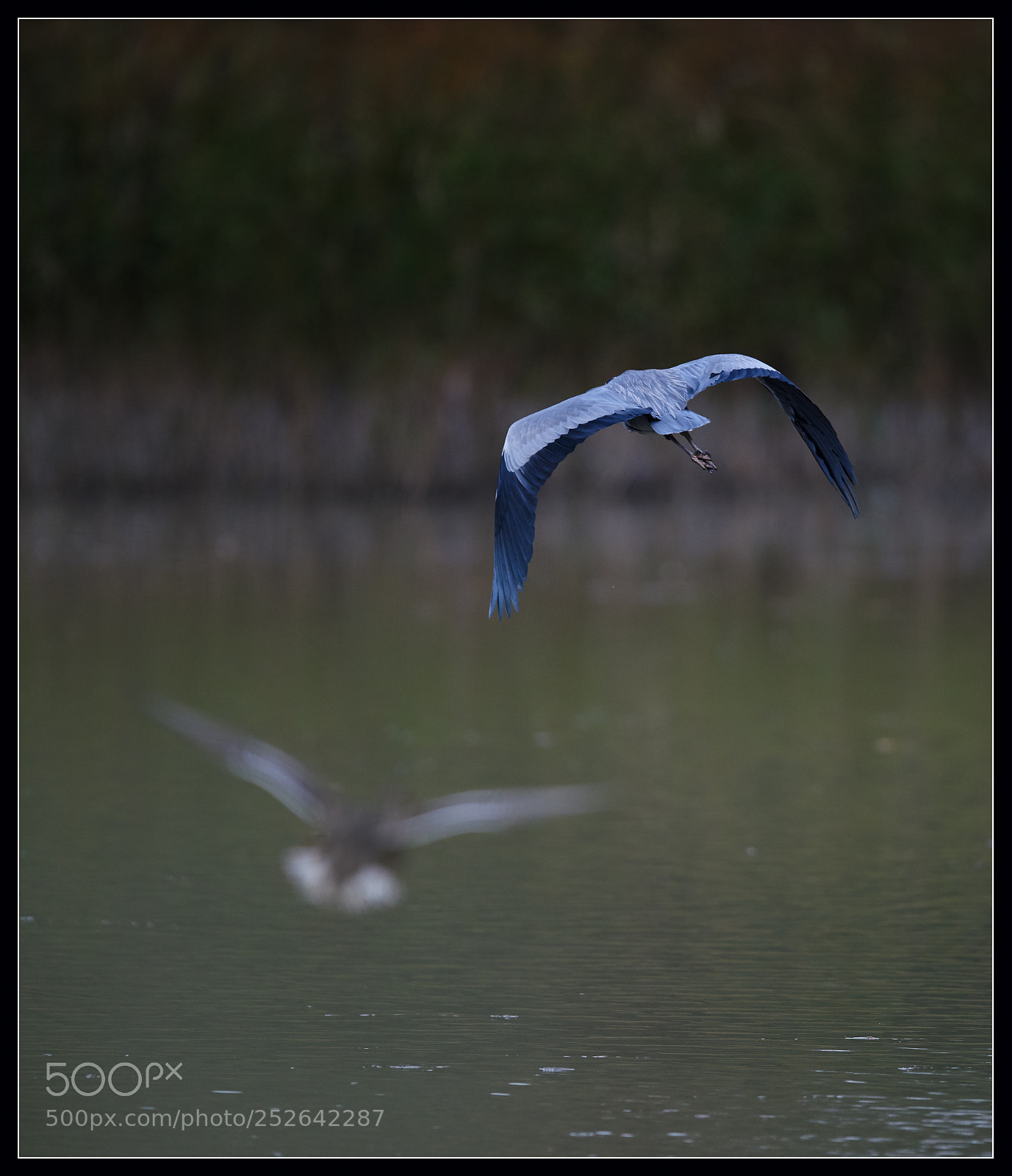 Nikon D810 sample photo. Duo photography