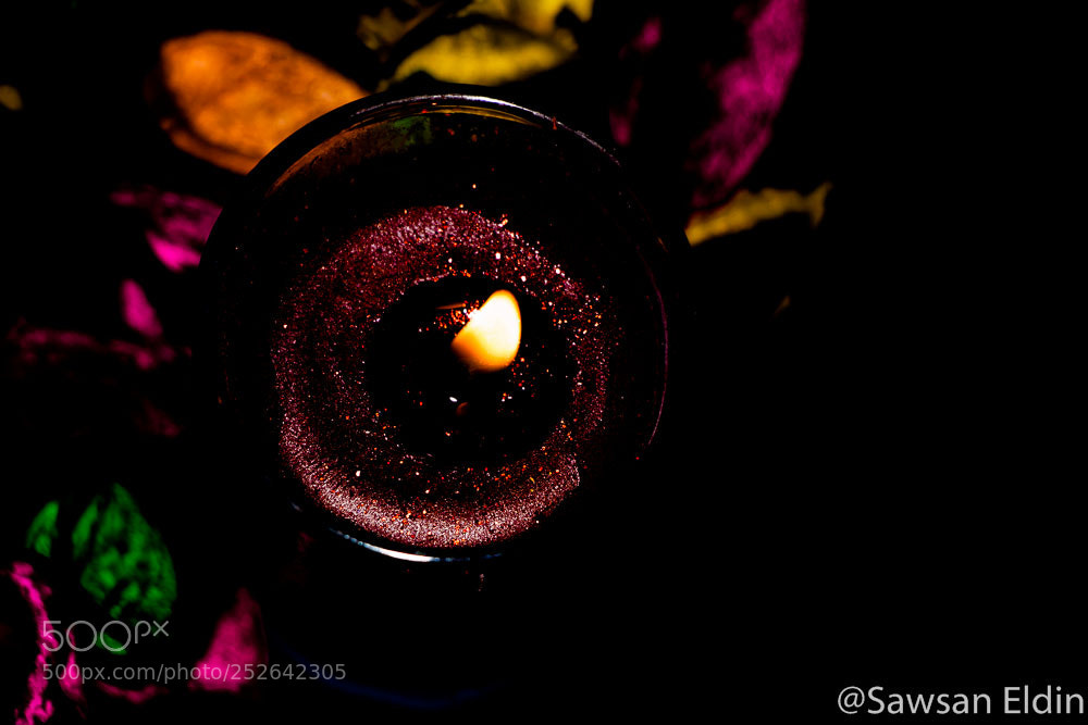 Canon EOS 70D sample photo. Untitled photography