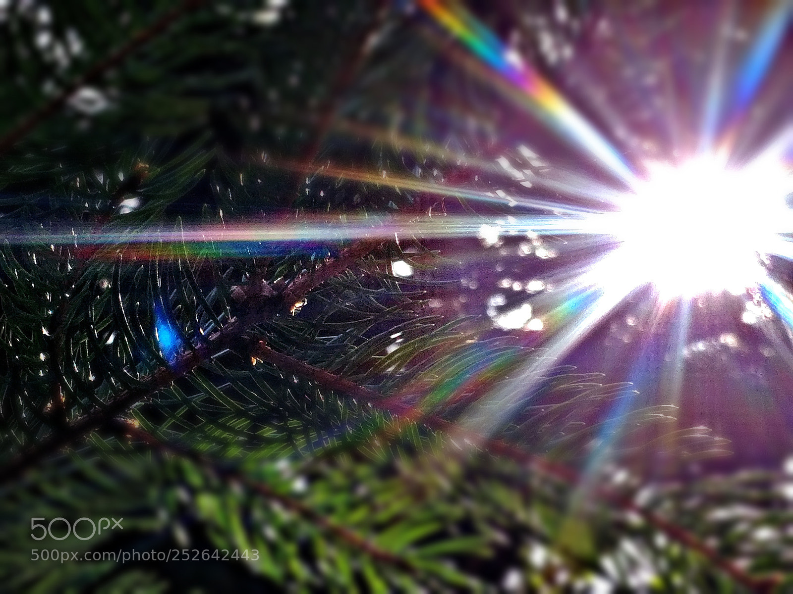 LG G6 sample photo. The rainbow in a photography