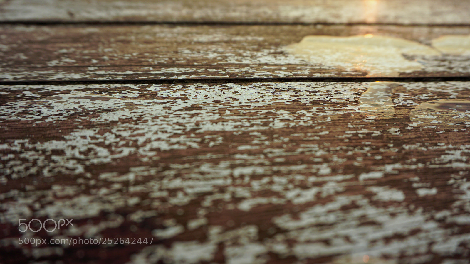 Sony a6000 sample photo. Wooden surface photography