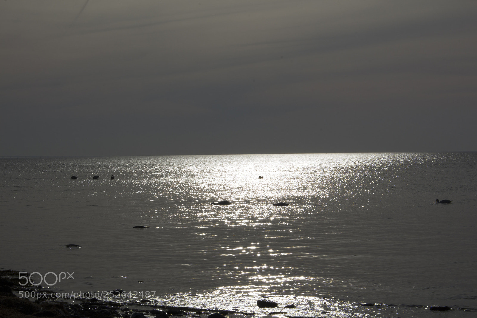 Canon EOS 700D (EOS Rebel T5i / EOS Kiss X7i) sample photo. Sea -riously-thanks-burr-4-letting-go photography