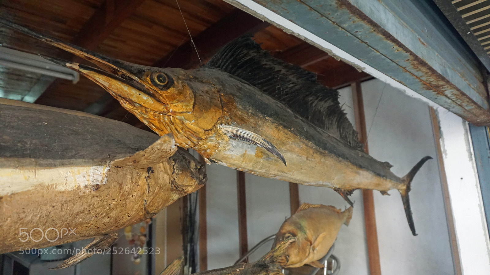 Sony a6000 sample photo. Decoration on a market photography