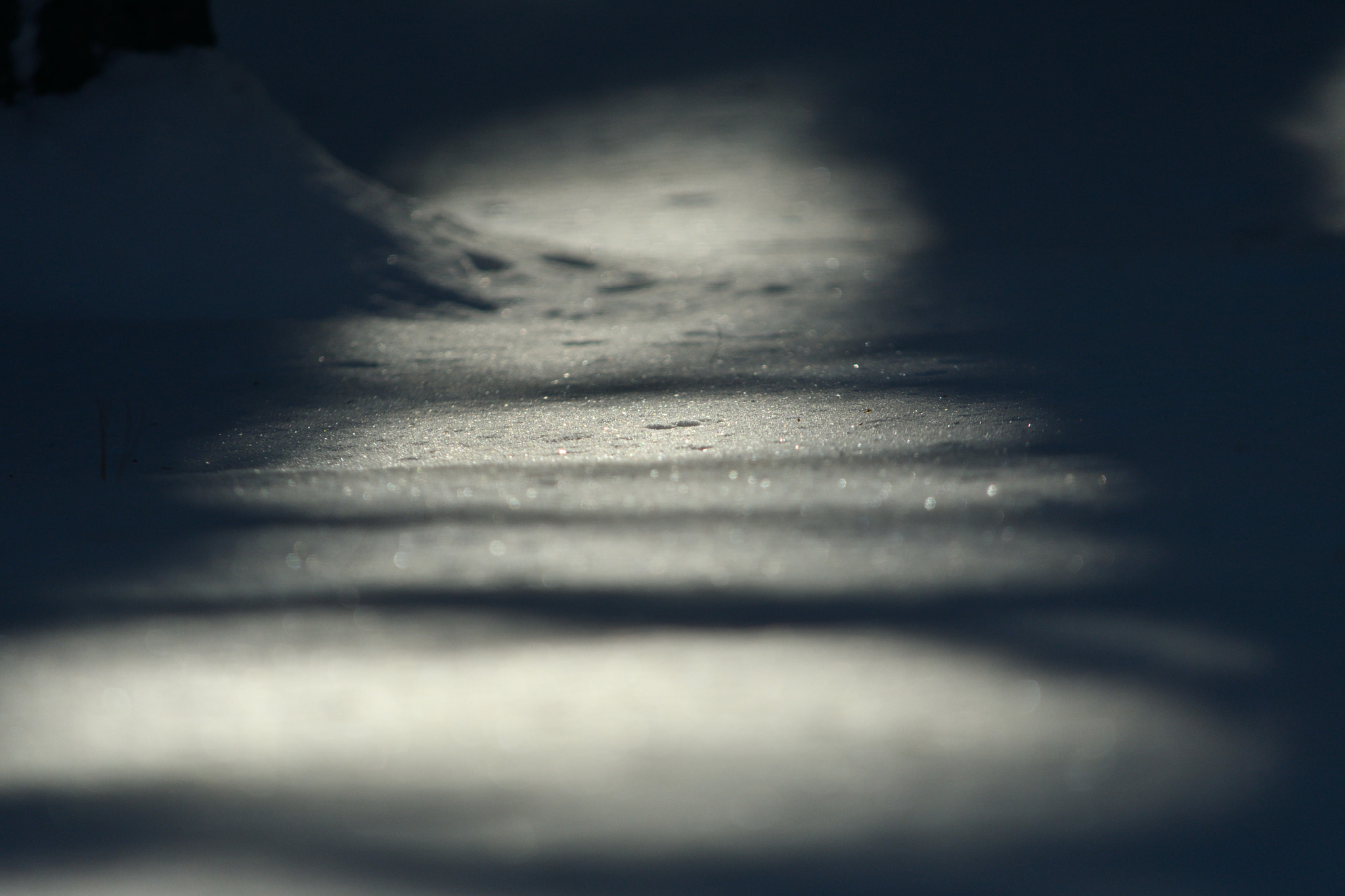 Nikon D500 sample photo. Snow scape photography