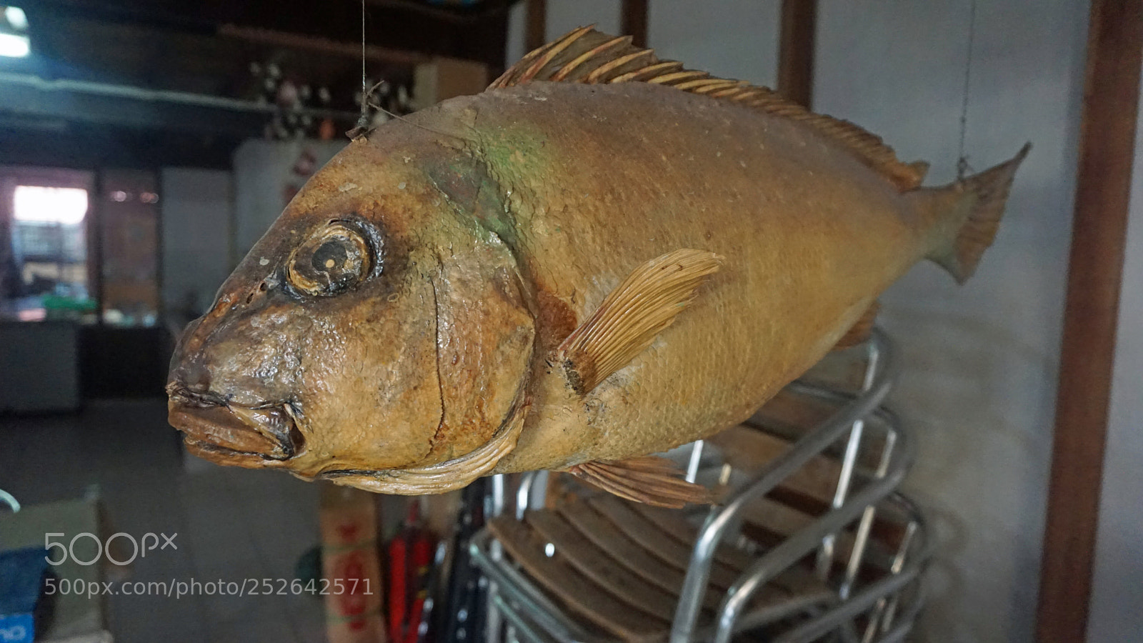 Sony a6000 sample photo. Decoration on a market photography