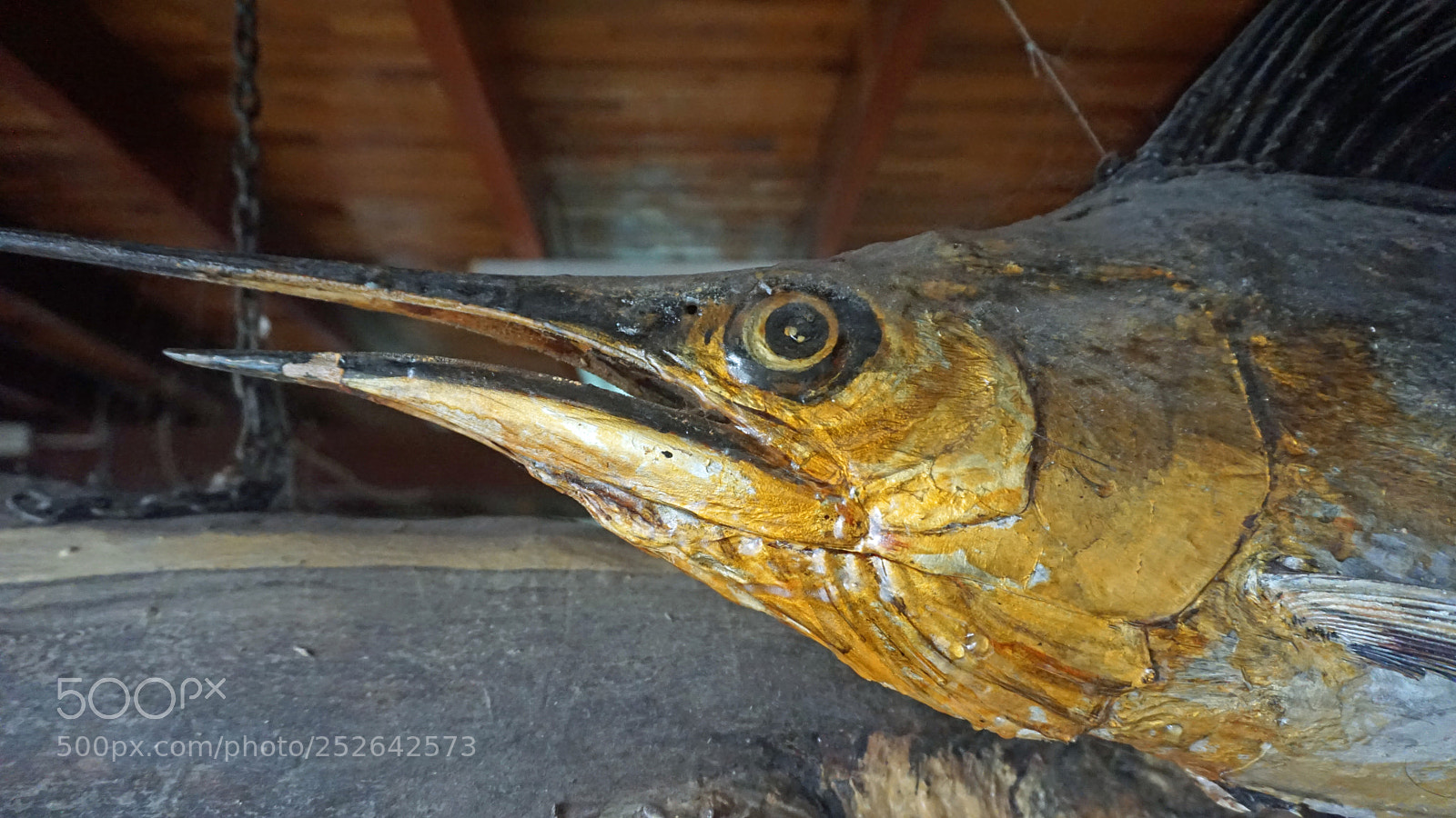 Sony a6000 sample photo. Decoration on a market photography