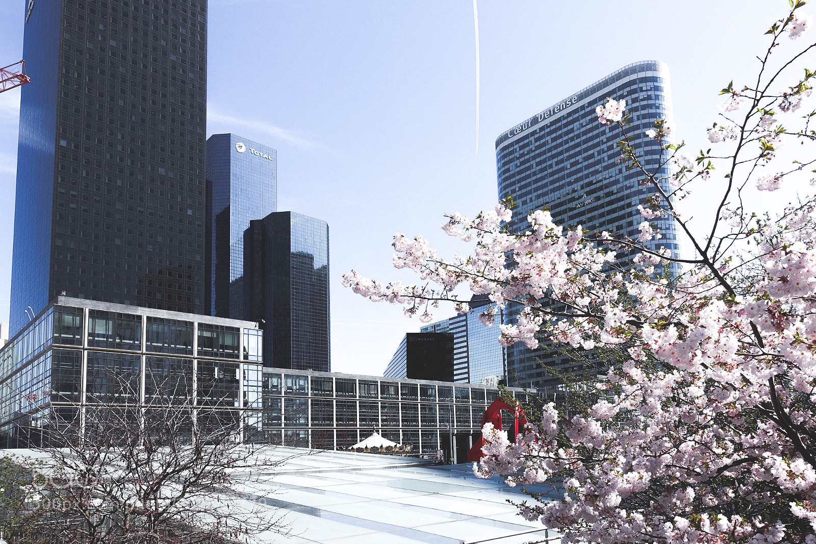 Sony Cyber-shot DSC-RX100 III sample photo. Le printemps arrive photography