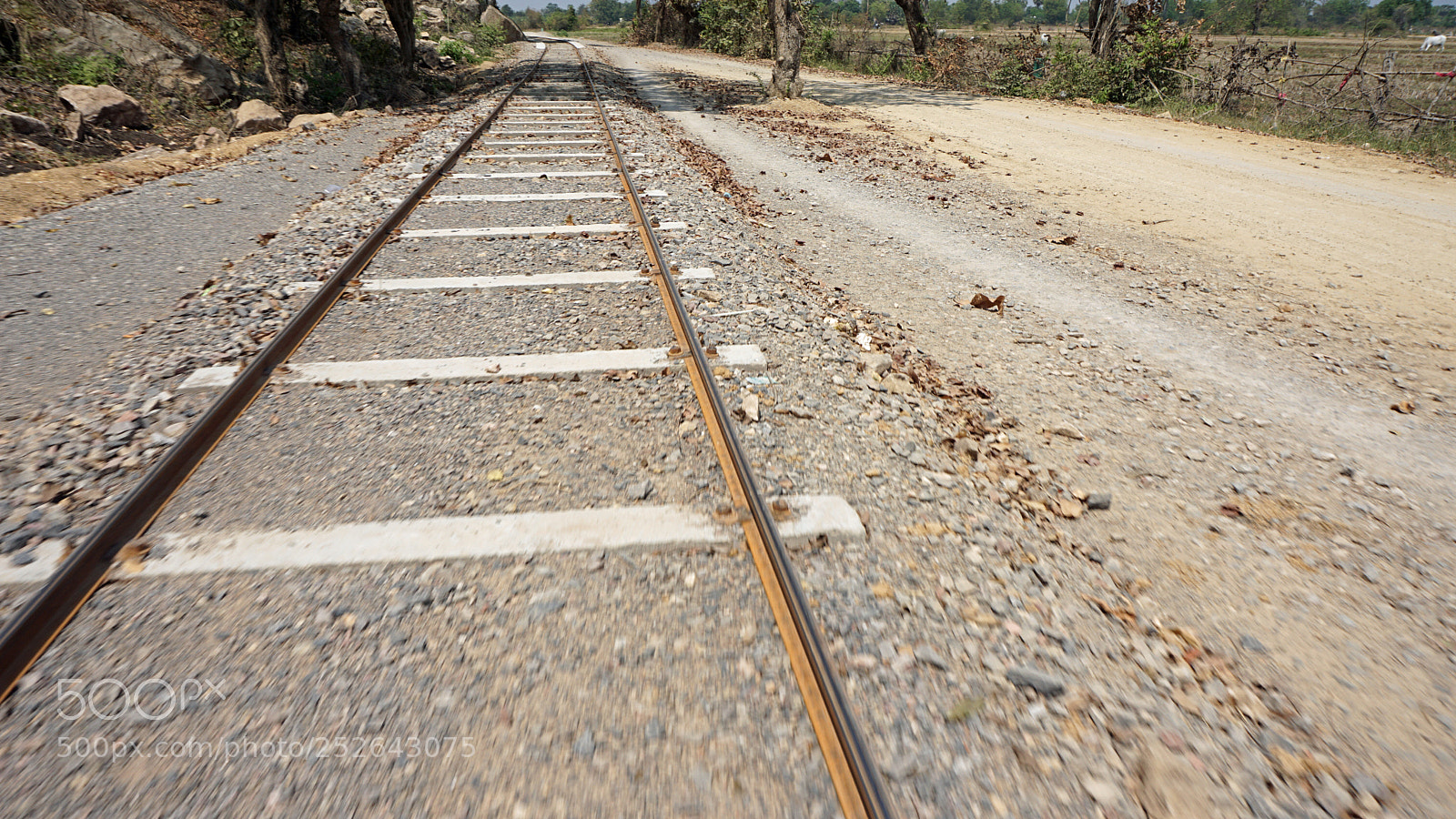 Sony a6000 sample photo. Battambang bamboo train photography