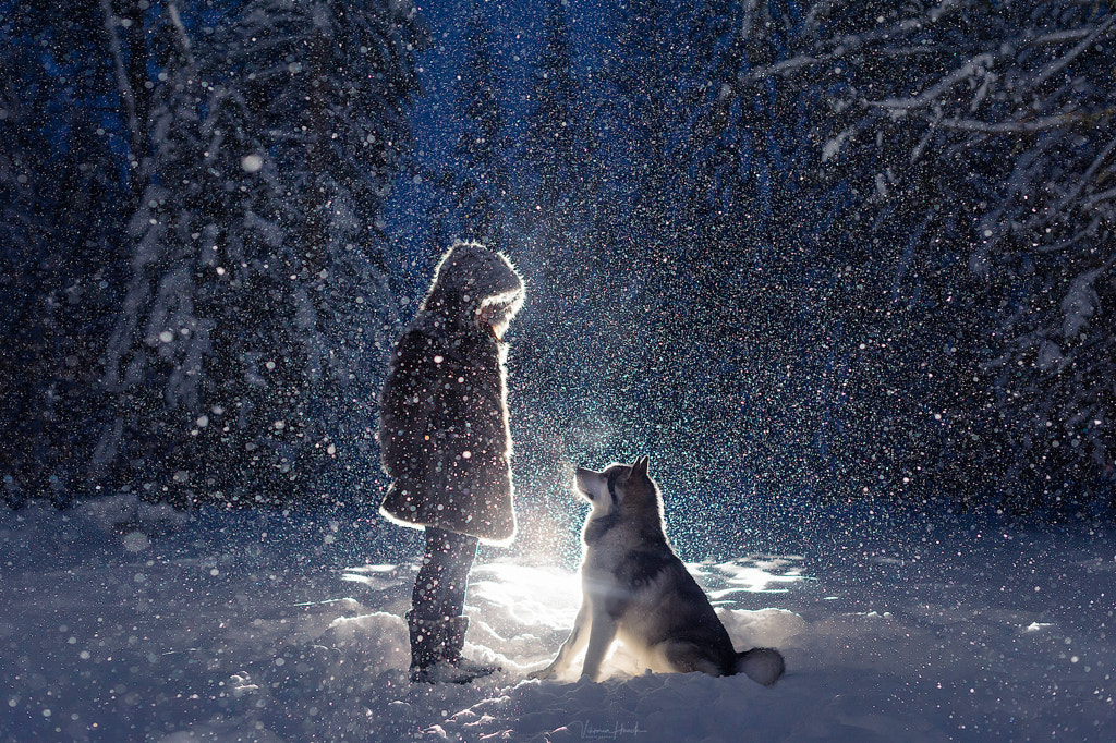 let it snow, автор — Viktoria Haack на 500px.com