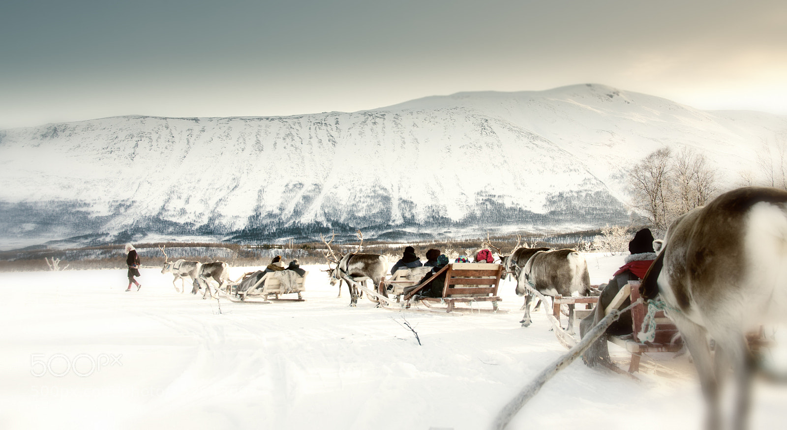 Nikon D7000 sample photo. Trineos en tromso photography