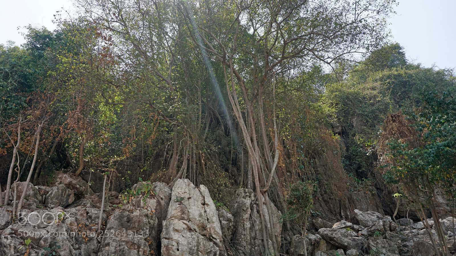 Sony a6000 sample photo. Battambang bamboo train photography