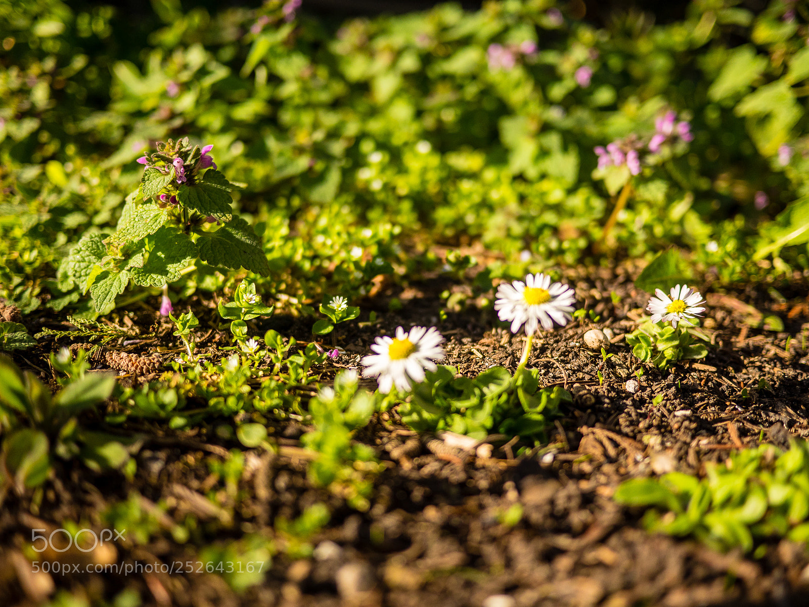 Panasonic Lumix DMC-GH4 sample photo. Heute photography