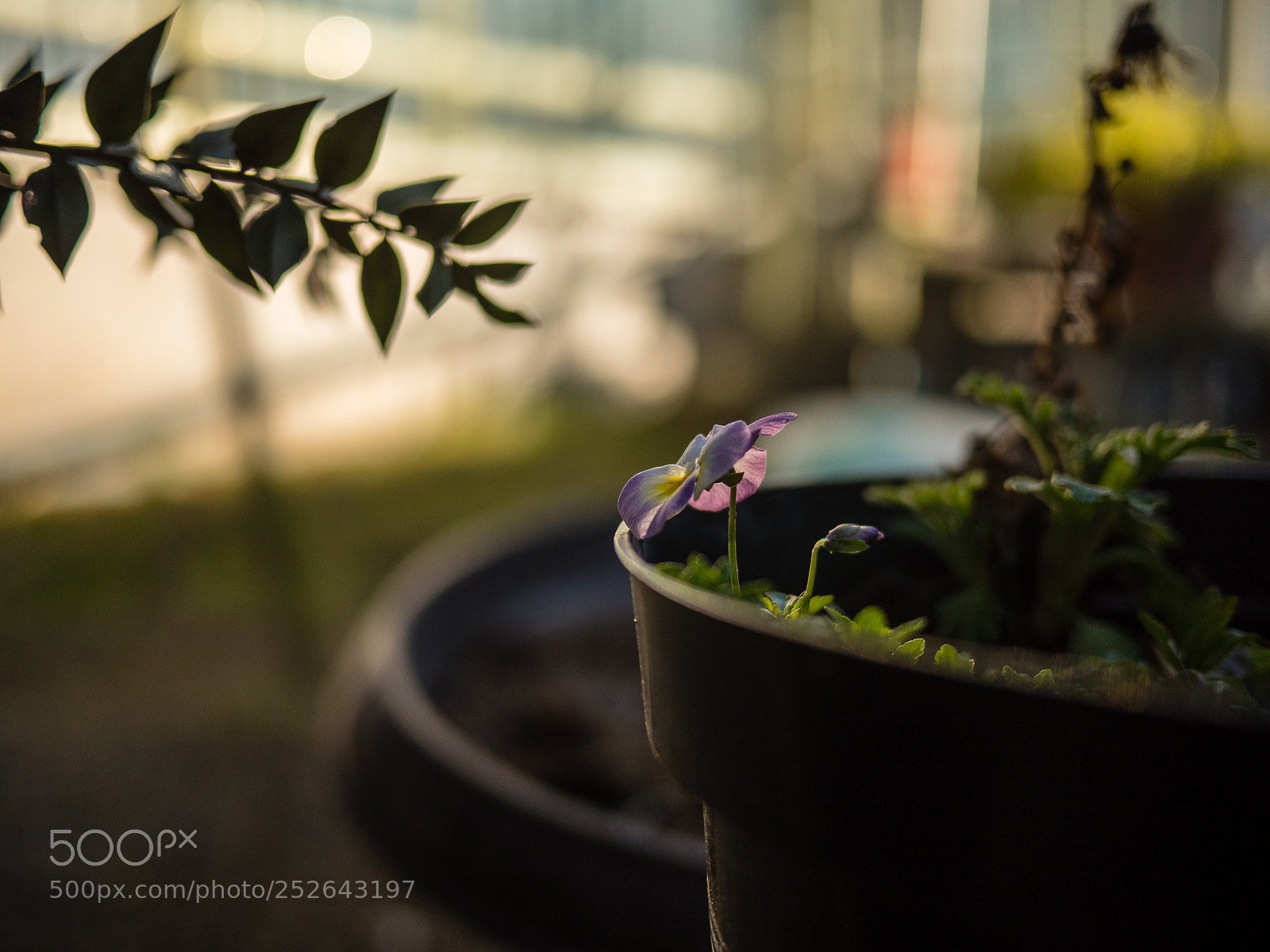 Panasonic Lumix DMC-GH4 sample photo. Heute photography