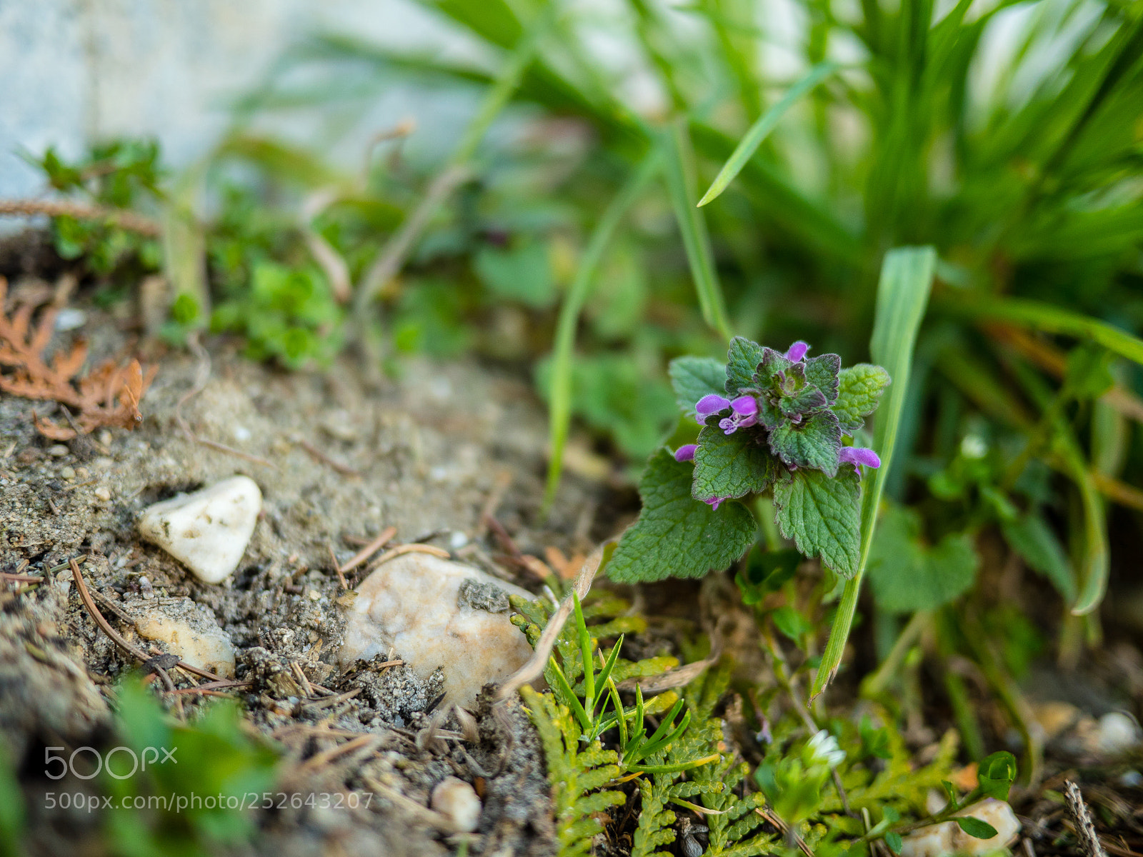 Panasonic Lumix DMC-GH4 sample photo. Heute photography