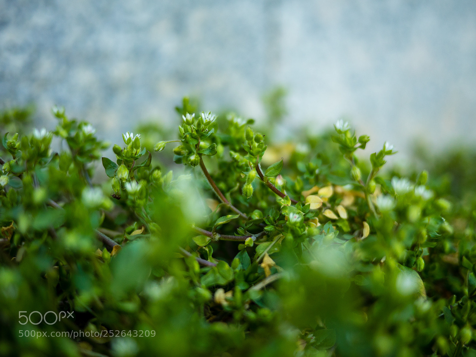 Panasonic Lumix DMC-GH4 sample photo. Heute photography