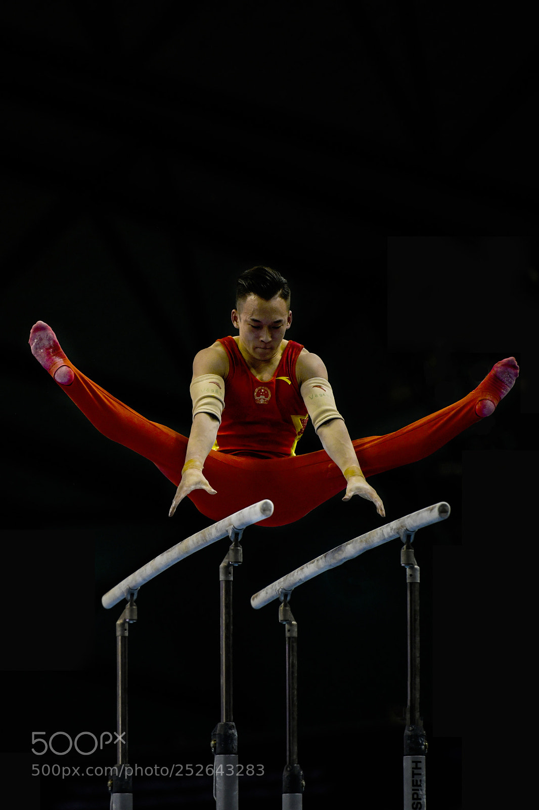 Nikon D850 sample photo. Balance photography