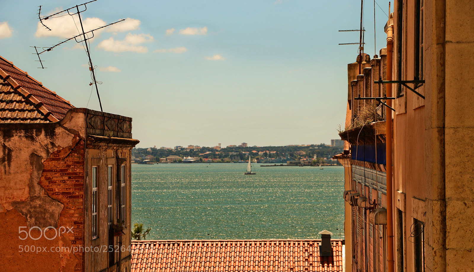 Canon EOS 70D sample photo. Looking to the coastline photography