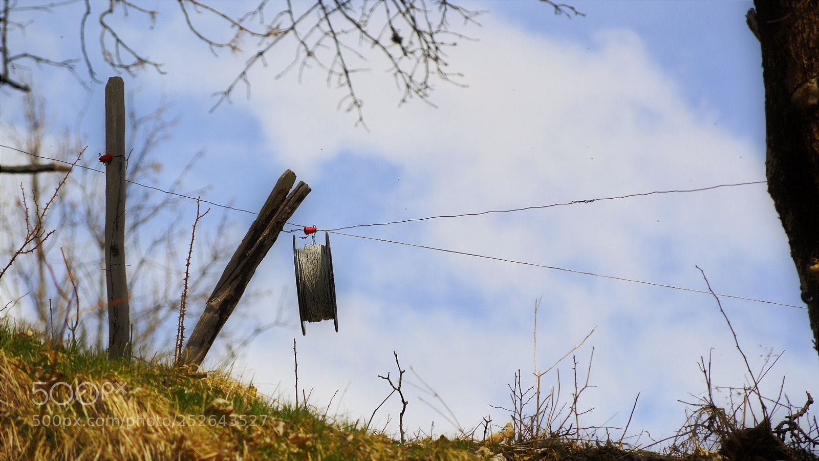 Nikon D3200 sample photo. Untitled photography