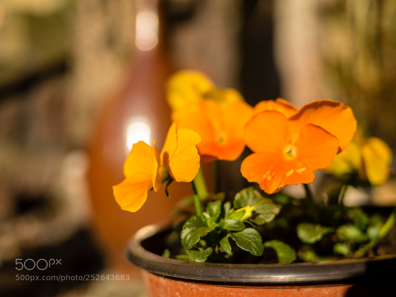 Panasonic Lumix DMC-GH4 sample photo. Heute photography