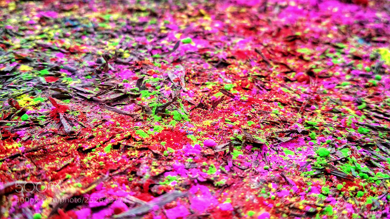 Xiaomi Redmi 4 Pro sample photo. Colour of festival holi photography