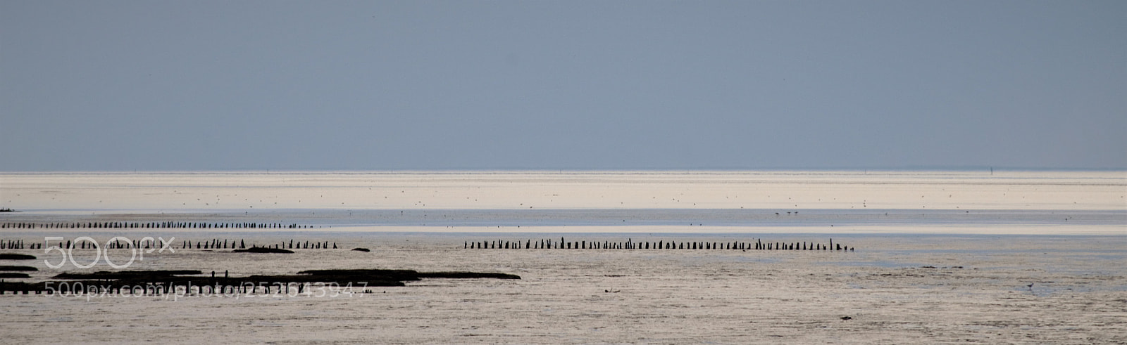 Nikon D5100 sample photo. Lines of lowtide photography