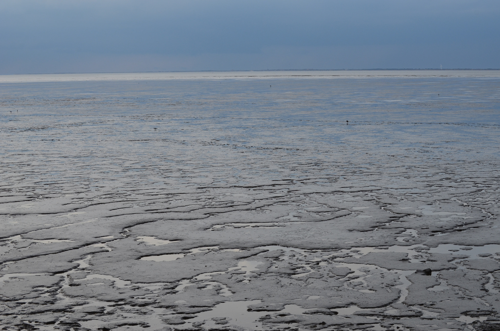 Nikon D5100 sample photo. Strutcures of lowtide photography