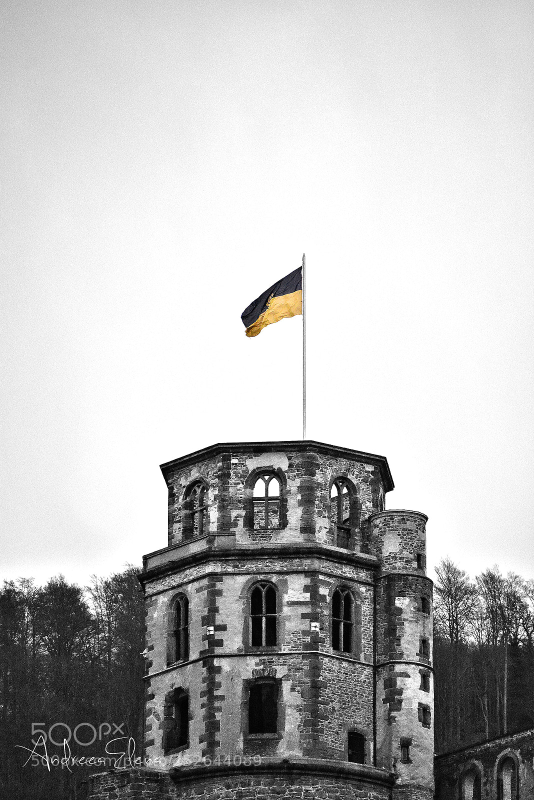 Nikon D5200 sample photo. Heidelberg photography