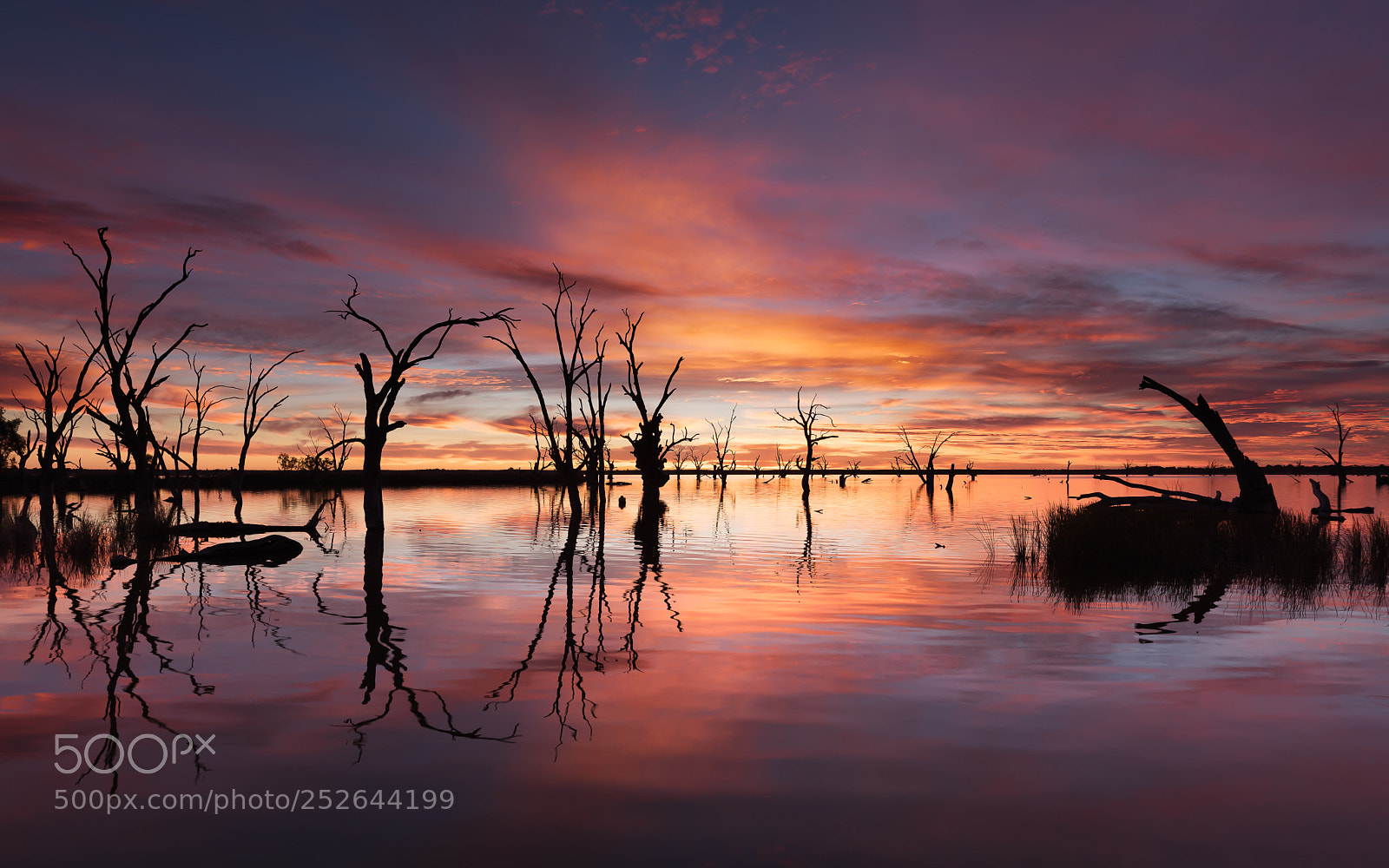 Nikon D810 sample photo. Lake bonney at dawn photography