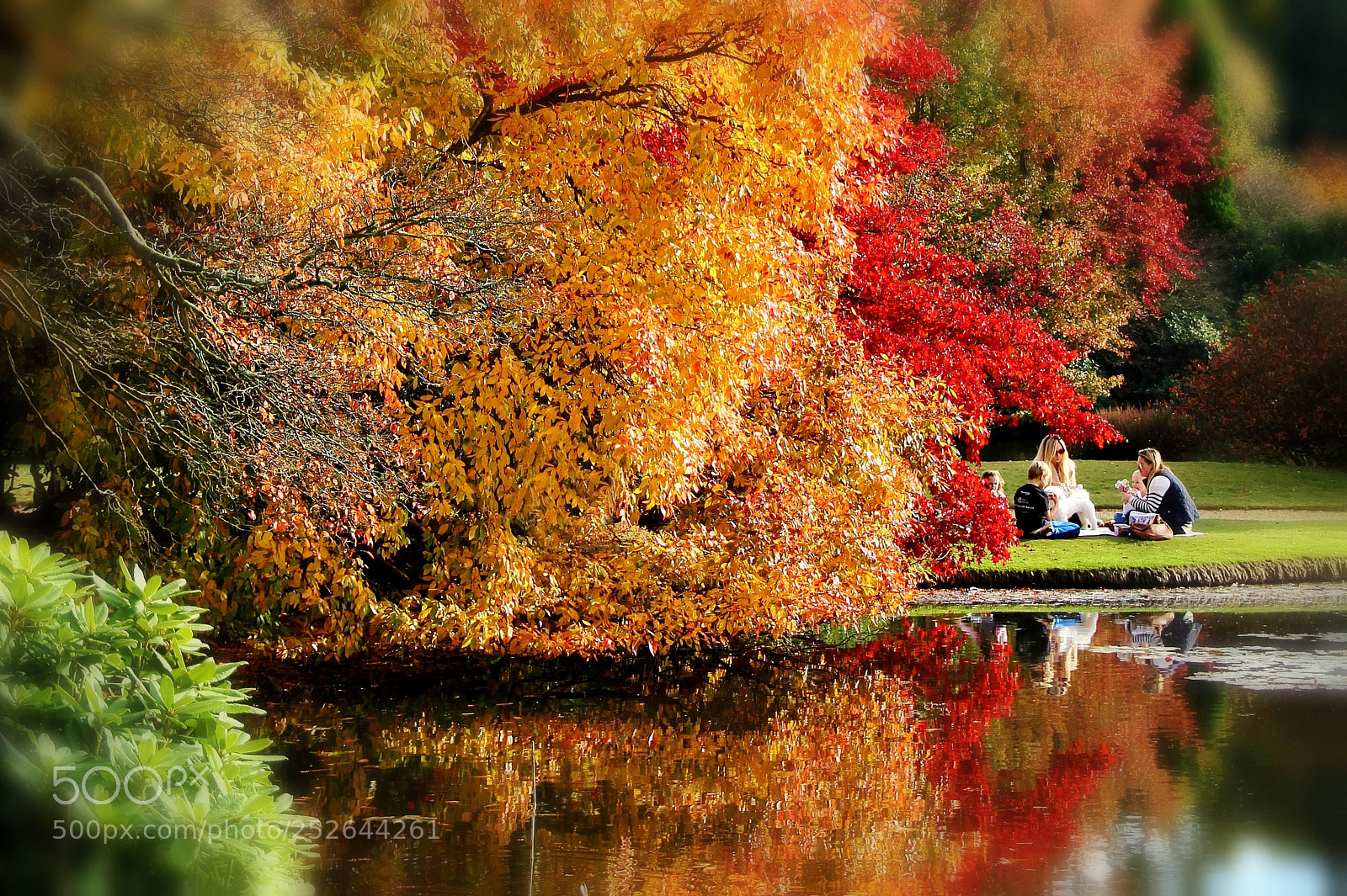 Canon EOS 60D sample photo. Autumn picnic photography