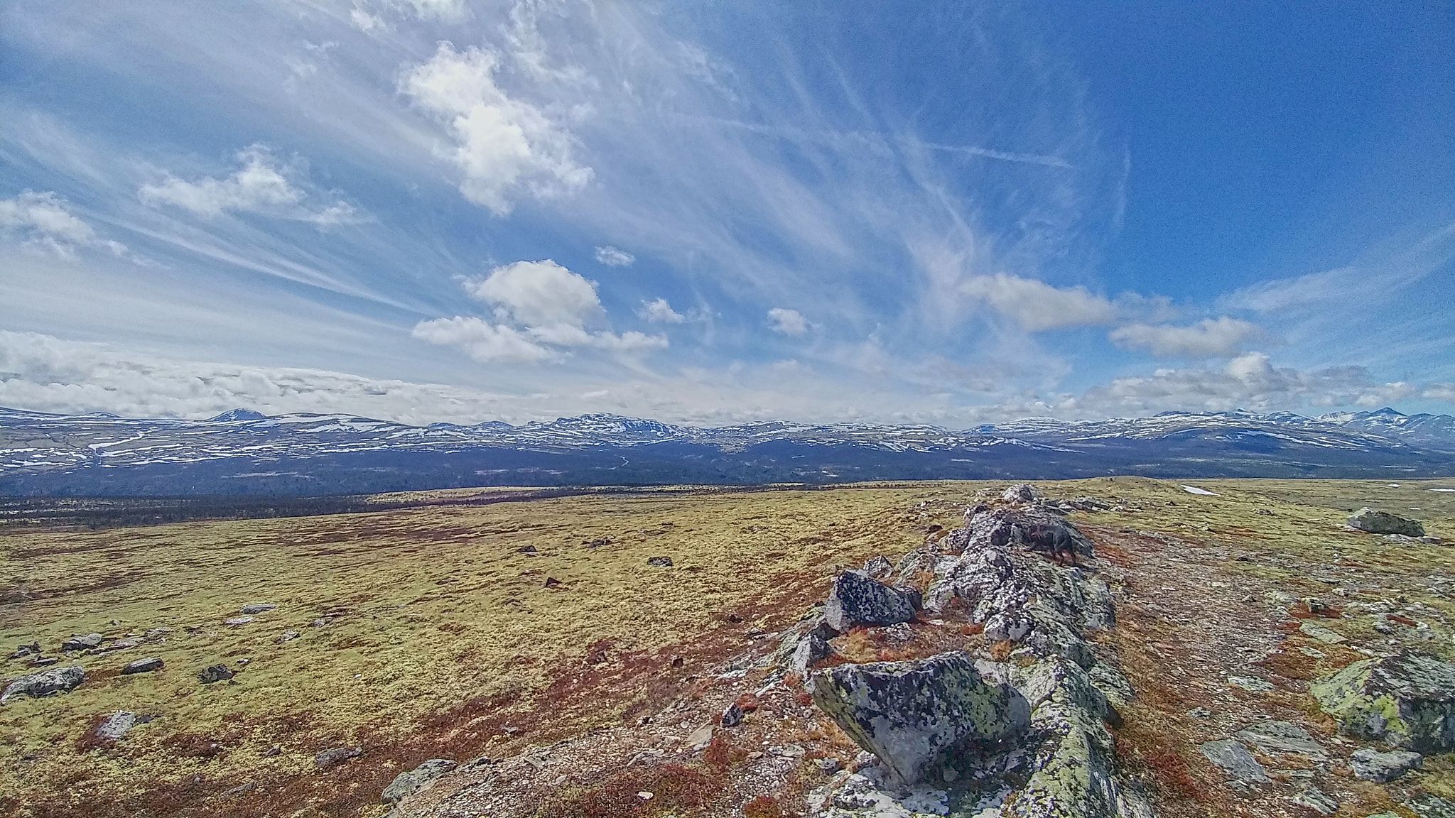 LG G5 SE sample photo. Rondane photography