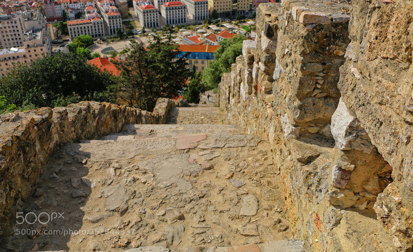 Canon EOS 70D sample photo. From the top of photography