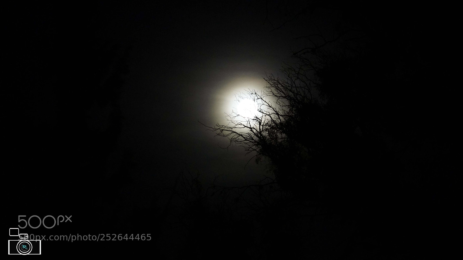 Sony Alpha NEX-5 sample photo. Luna en tequisquiapan photography