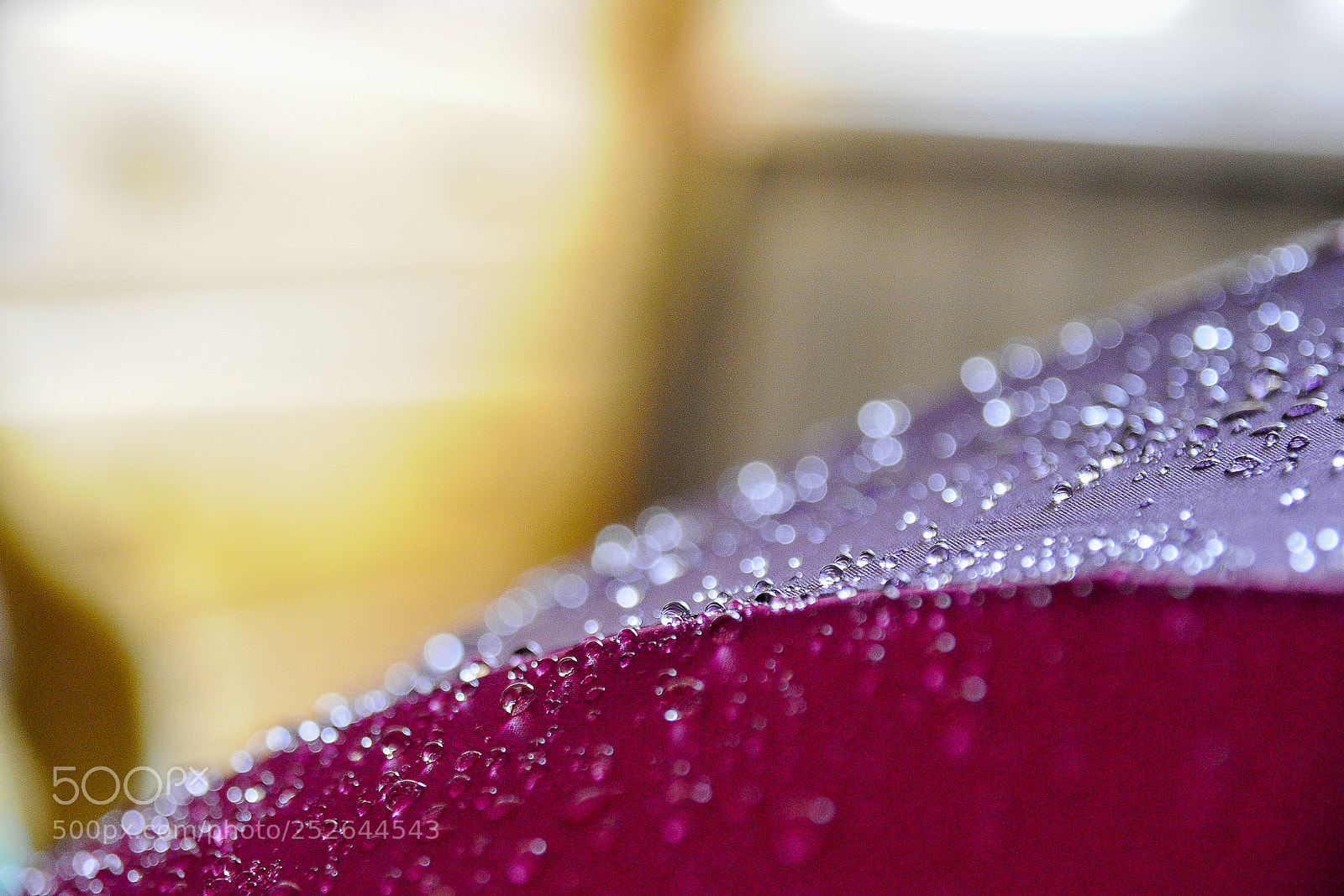 Nikon D300 sample photo. Raindrops photography