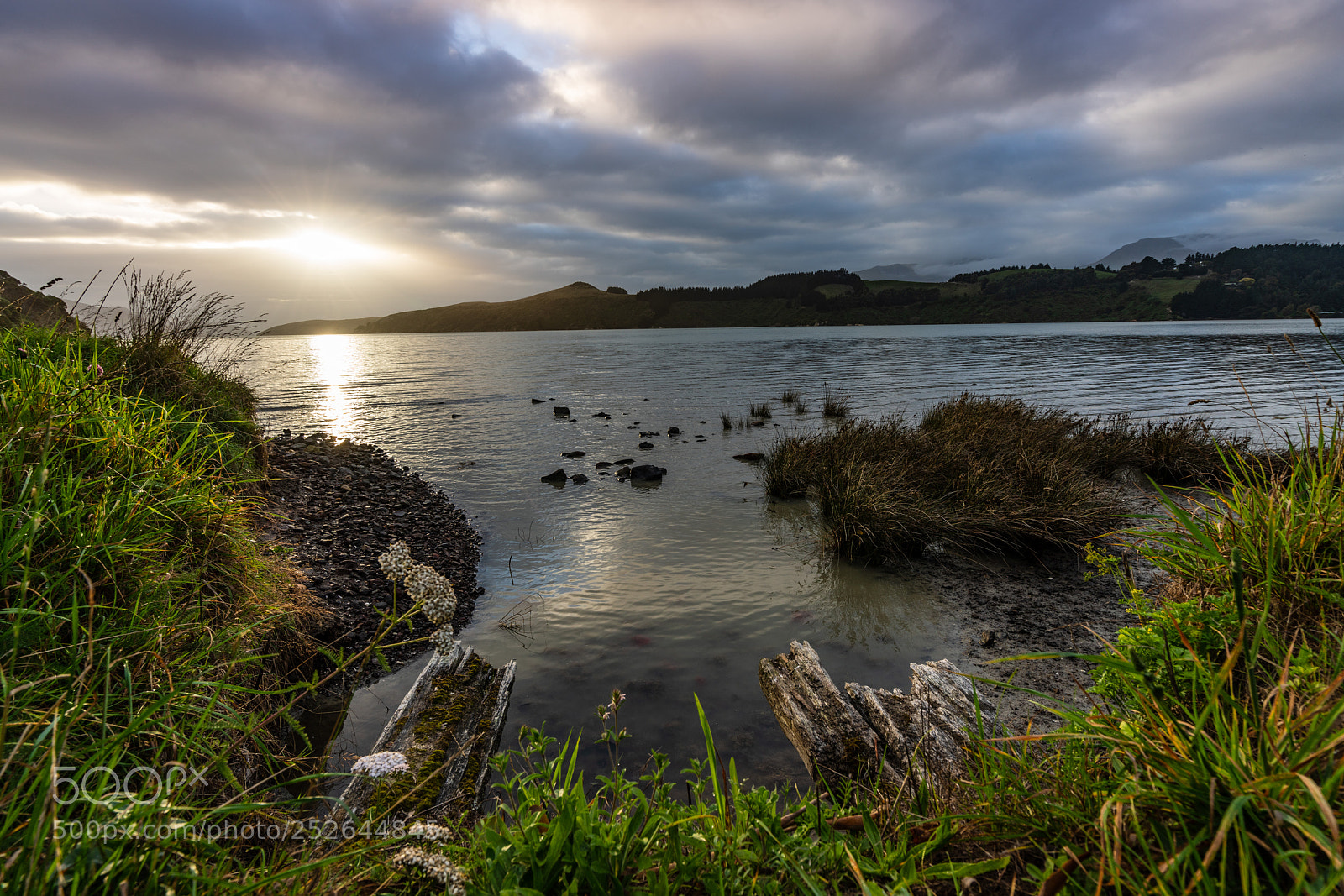 Sony a7R III sample photo. Governors bay photography