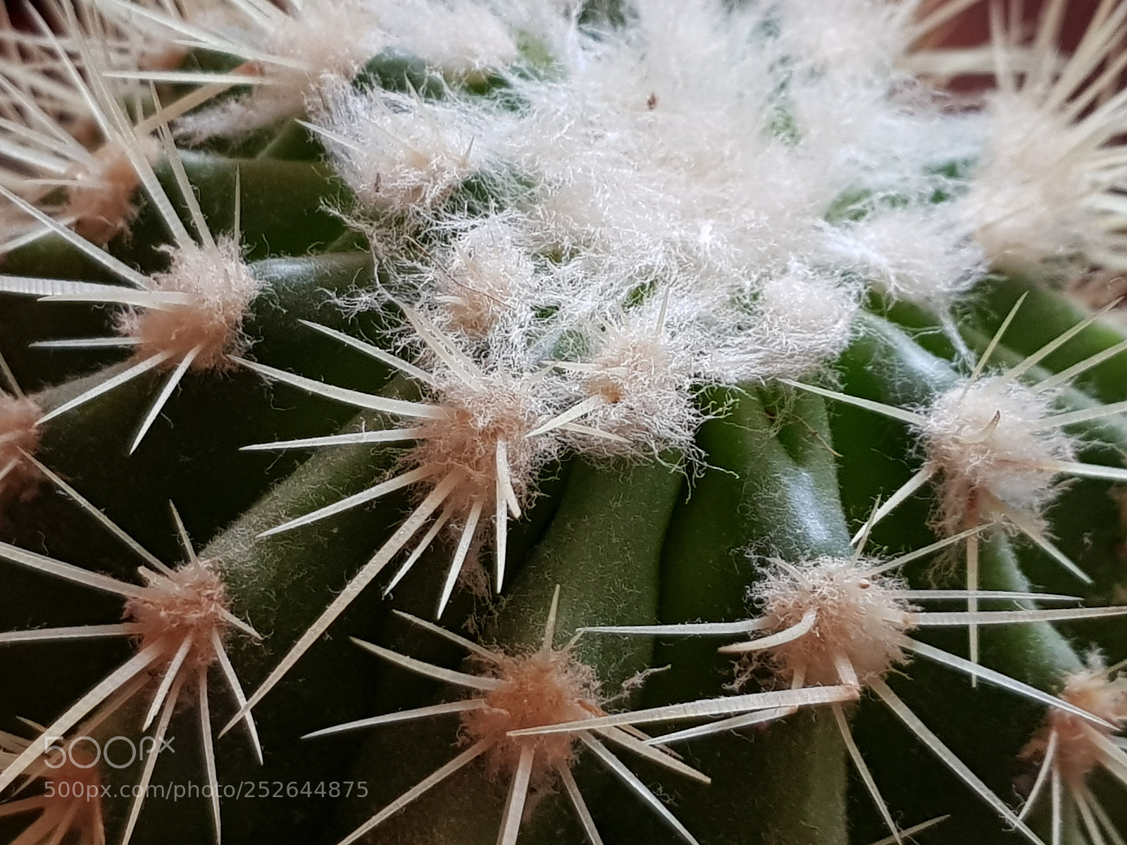 Samsung Galaxy S8+ sample photo. Untitled photography