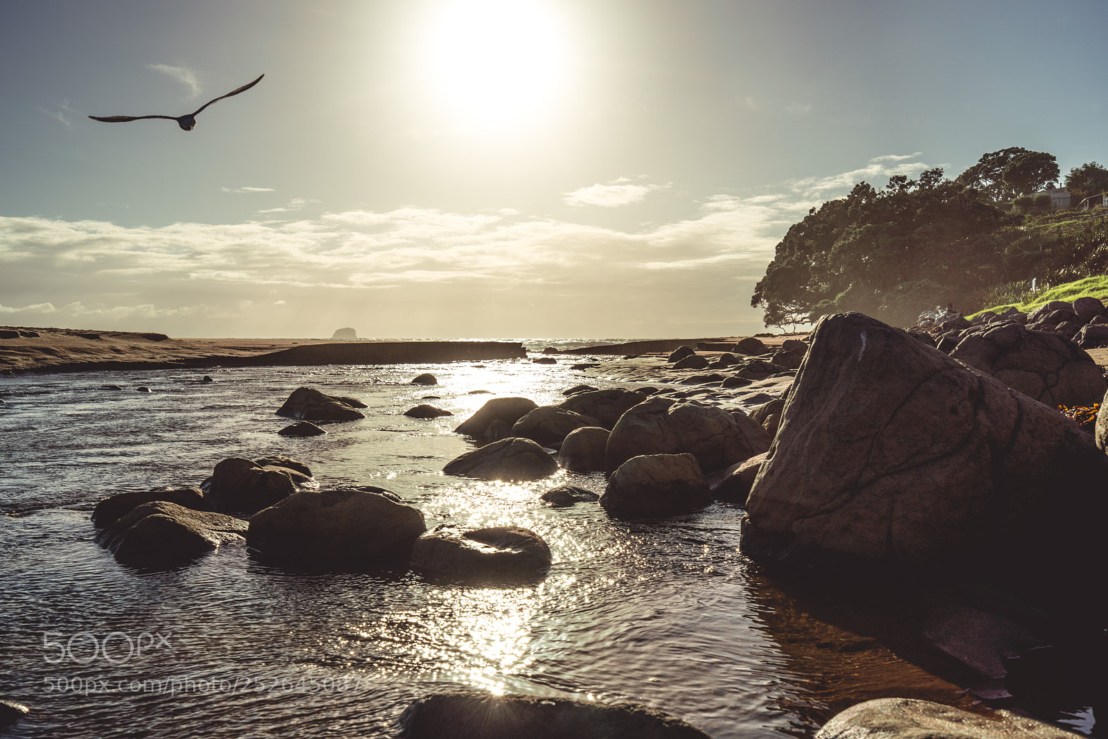 Sony a7R III sample photo. Hot water beach photography