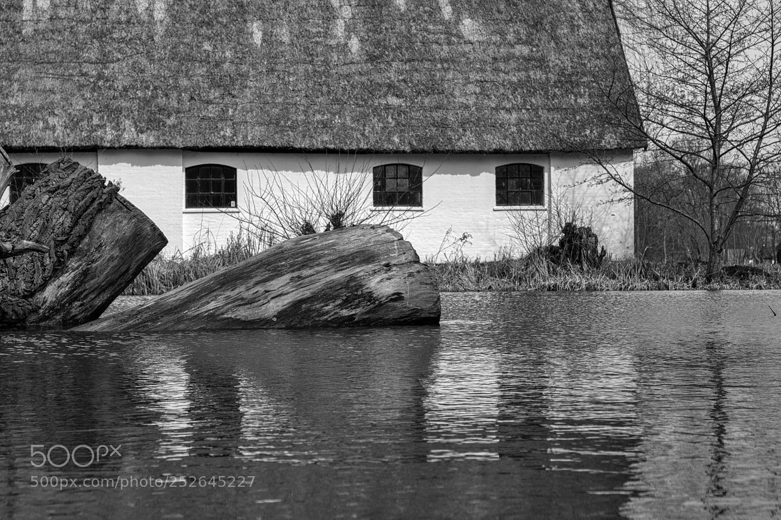 Fujifilm X-T2 sample photo. House by the river photography