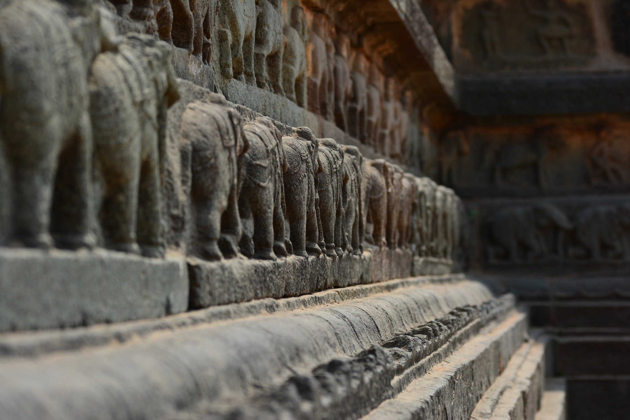 Nikon D5200 sample photo. Elephant in a row photography