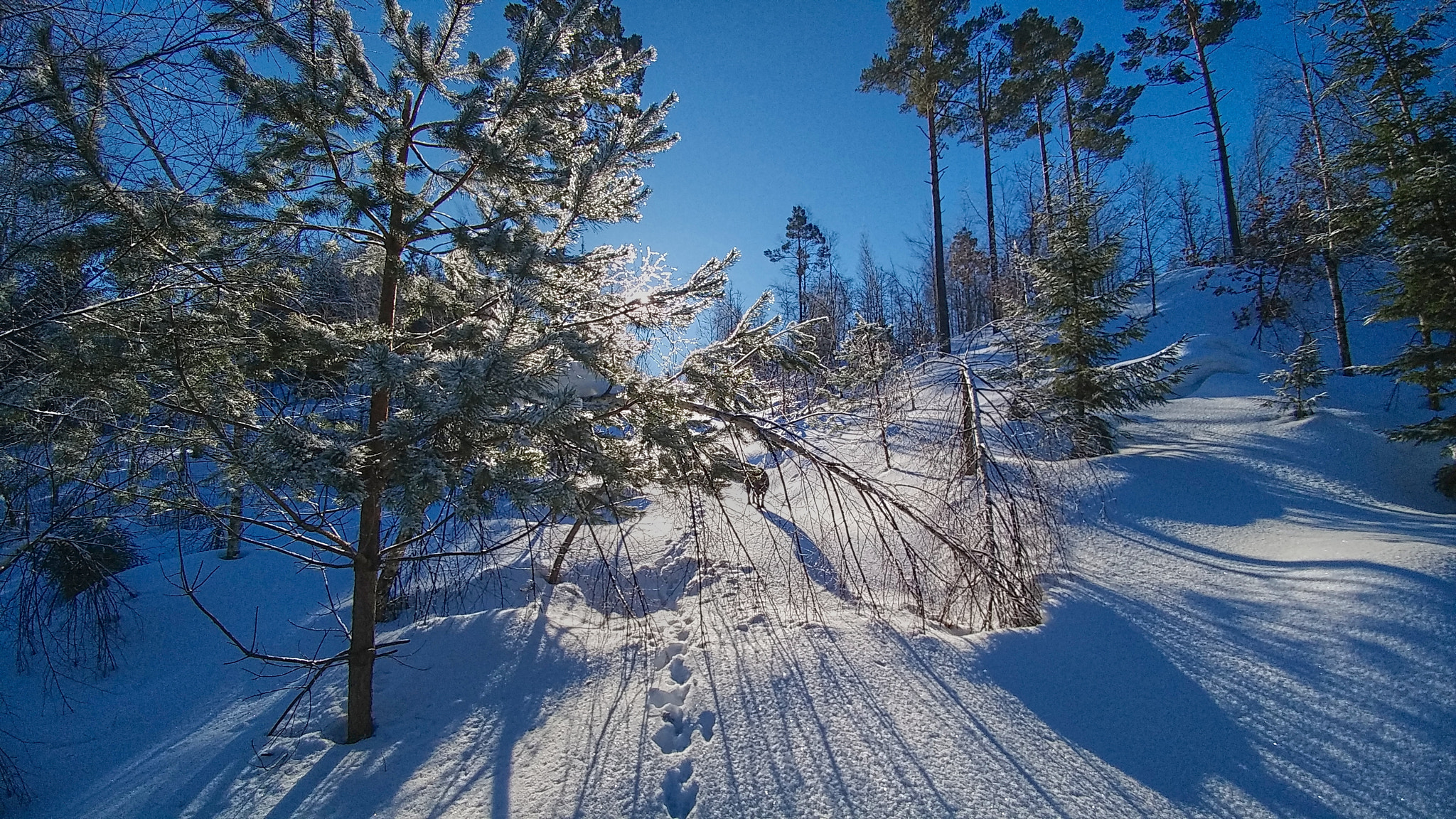 LG G5 SE sample photo. Winter sun. photography