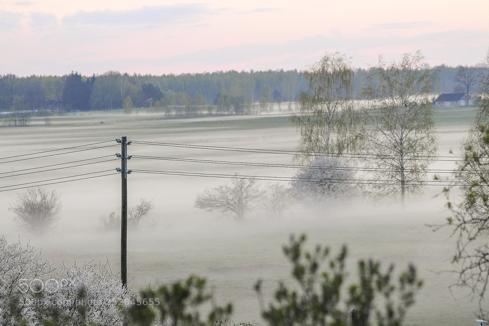 Nikon D300 sample photo. Fog in countryside photography