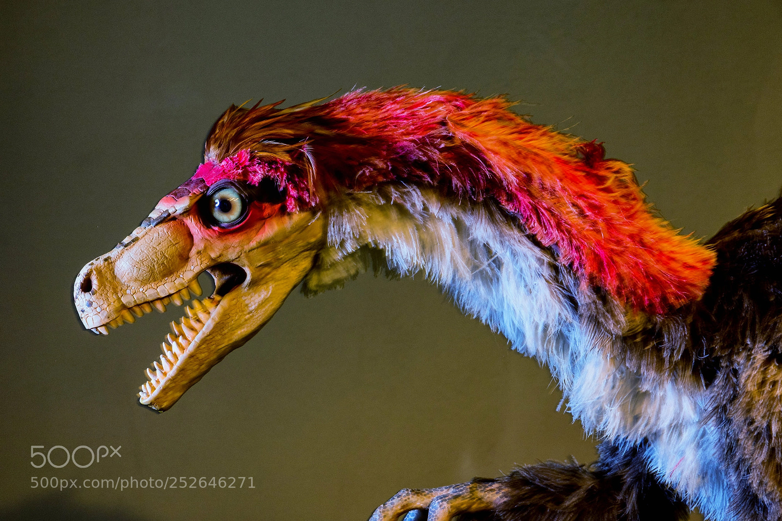 Canon EOS 7D Mark II sample photo. Dino photography