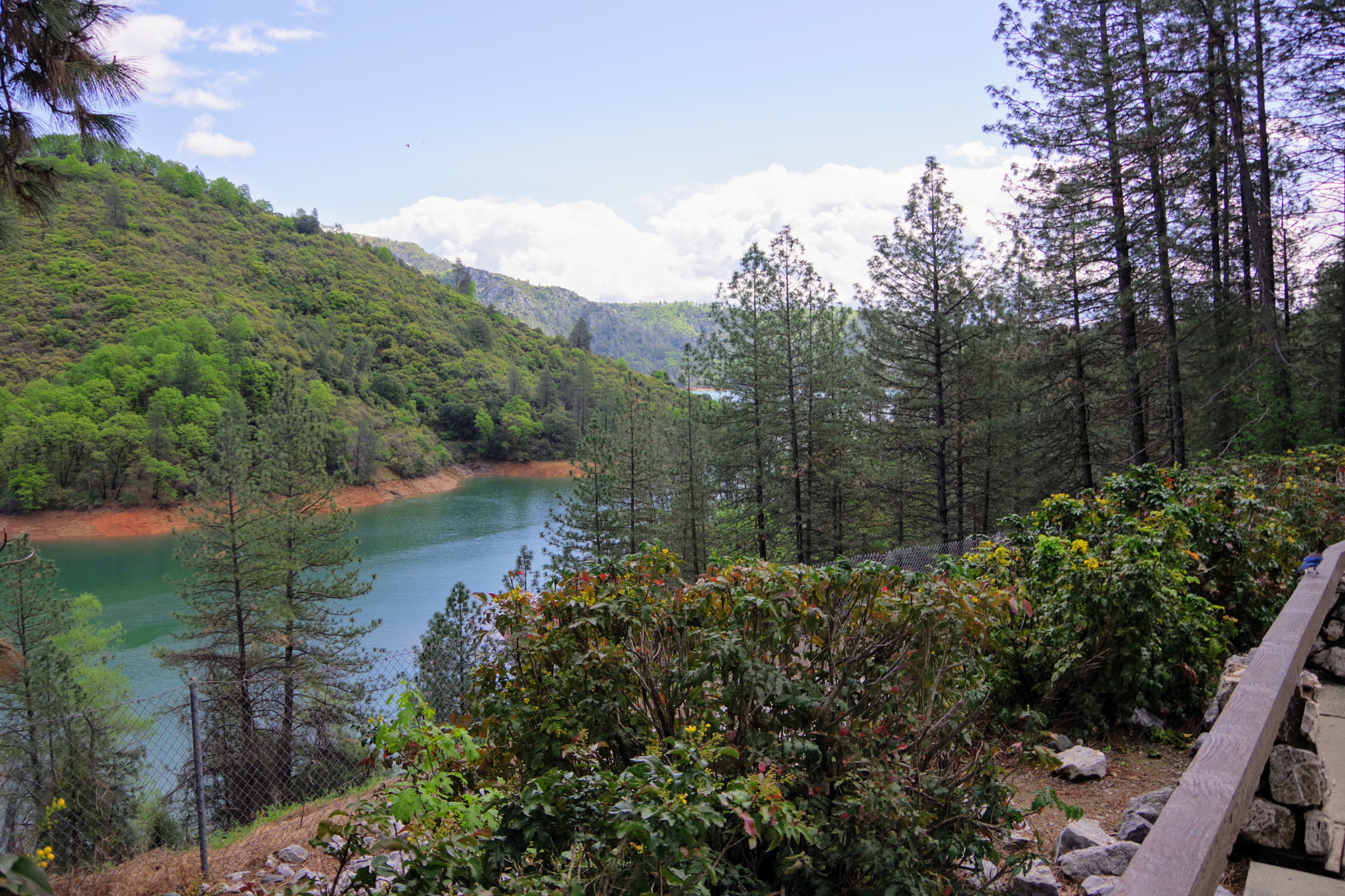 Pentax K-70 sample photo. Shasta lake photography