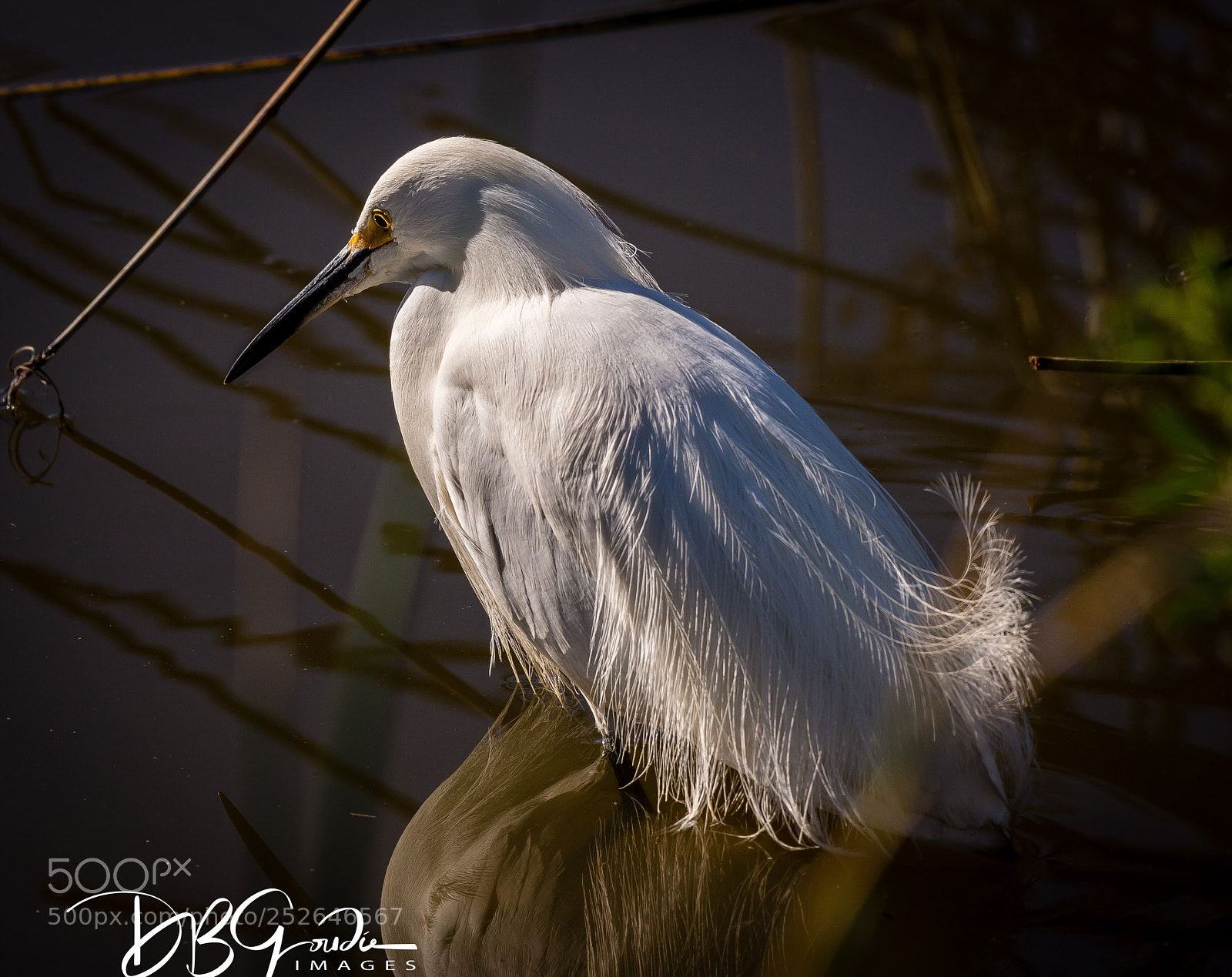 Nikon D600 sample photo. Untitled photography