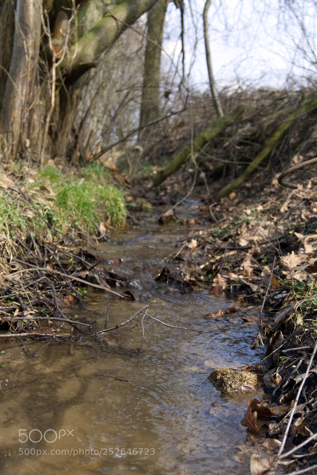 Sony a6000 sample photo. A small, clean stream photography