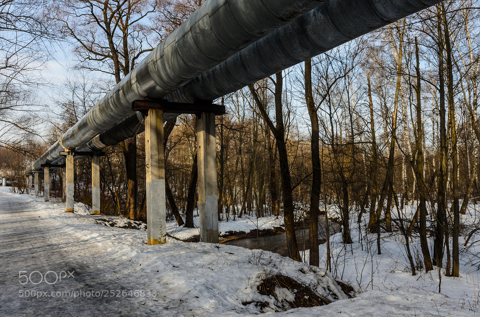 Nikon D5100 sample photo. 333 photography