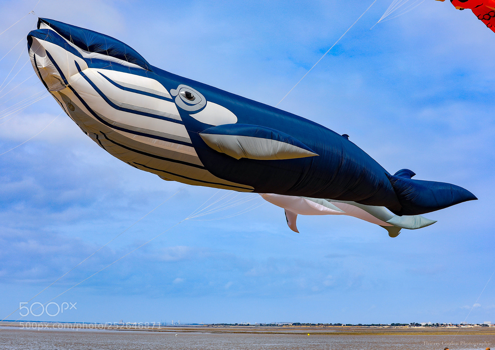 Canon EOS 5D Mark IV sample photo. Une baleine dans les photography