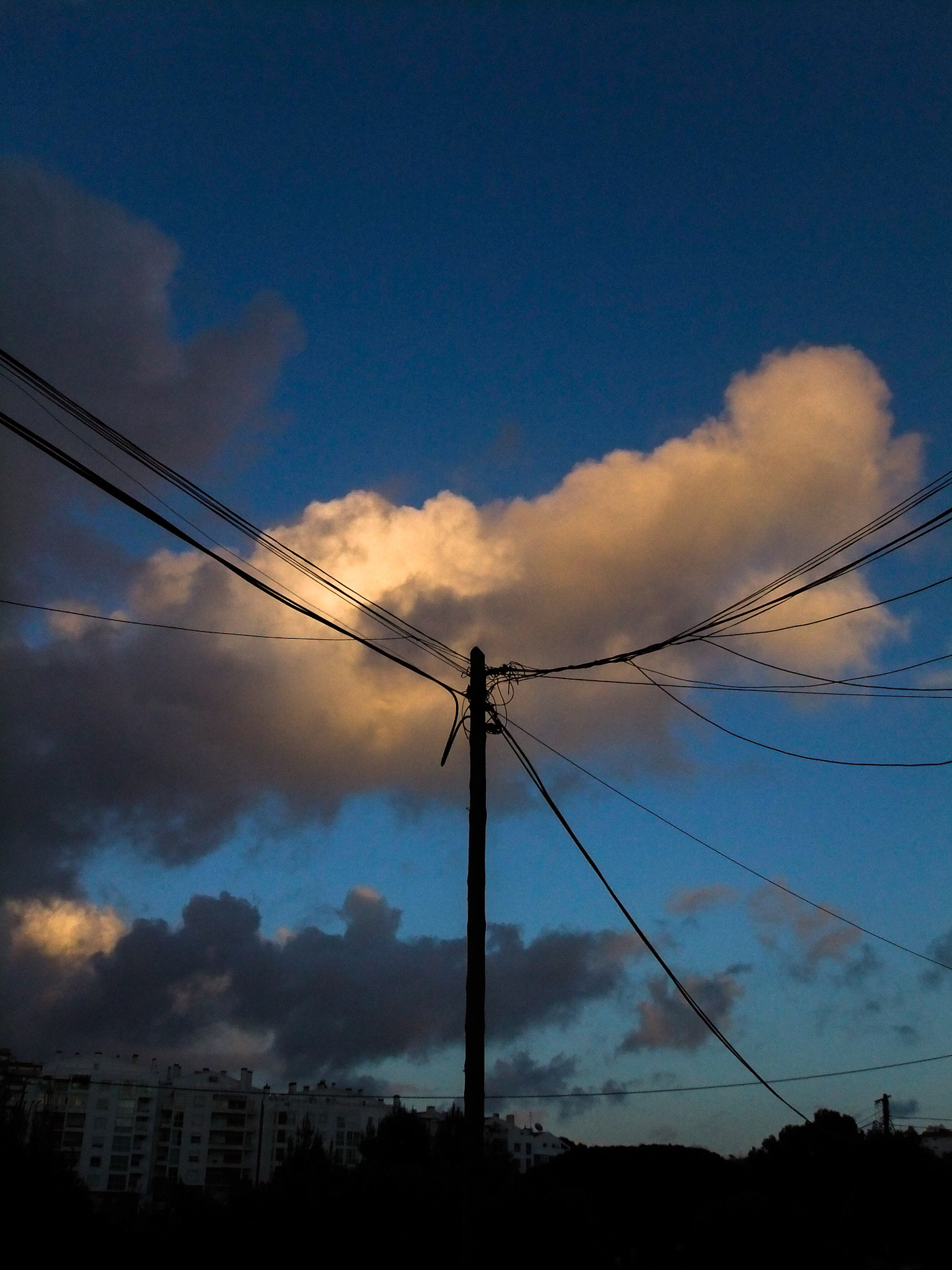 FujiFilm FinePix Z800EXR (FinePix Z808EXR) sample photo. Pole photography