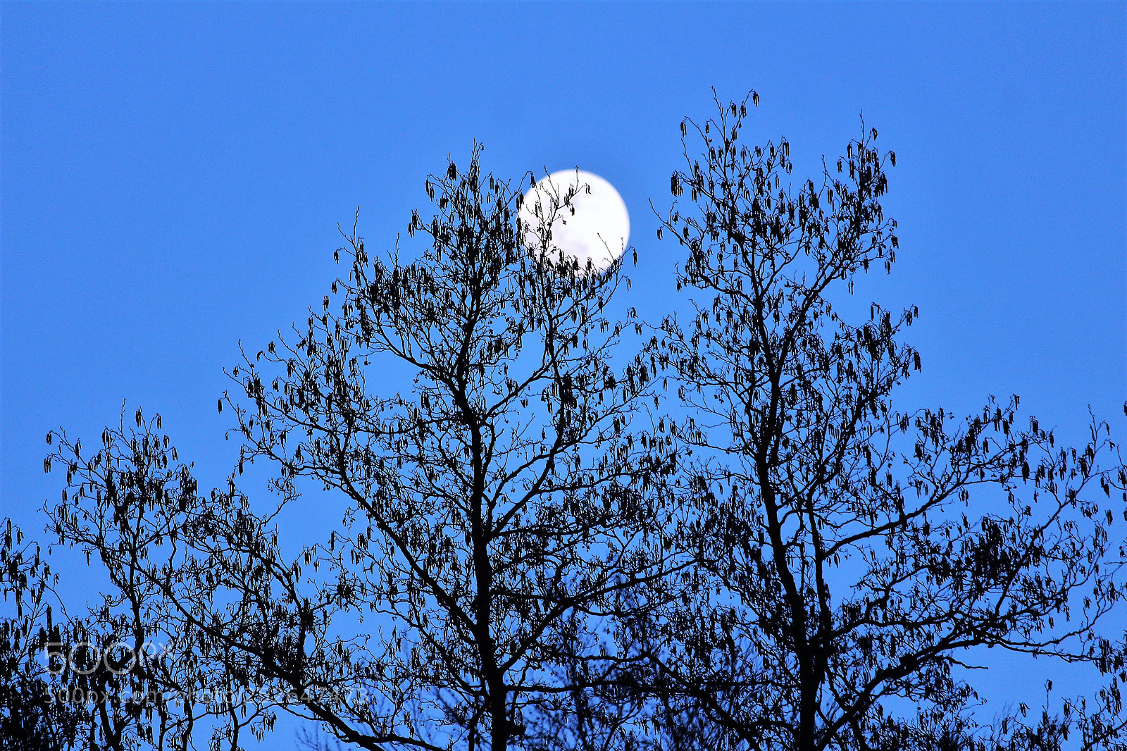 Canon EOS 700D (EOS Rebel T5i / EOS Kiss X7i) sample photo. Good night photography
