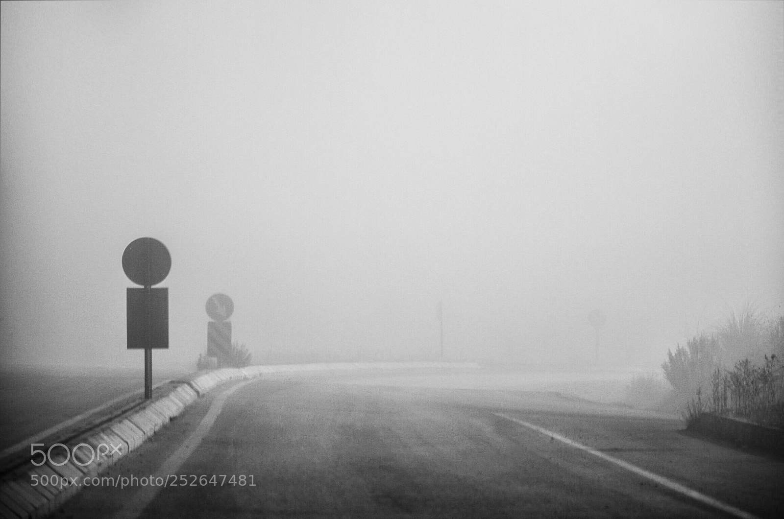 Nikon D5100 sample photo. Fog  photography